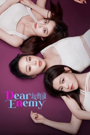 ดูซีรี่ย์ Dear Enemy คู่รักคู่แค้น (2025) EP.1-24 | ซับไทย Season 1