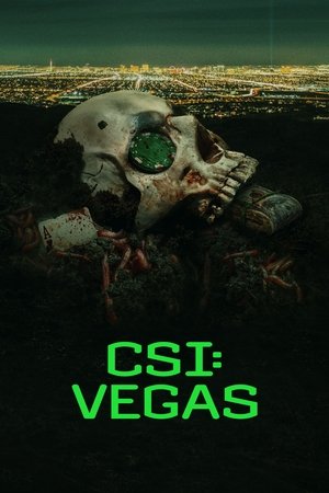 ดูซีรี่ย์ CSI: Vegas ซีเอสไอ: เวกัส ซีซั่น 1 (2021) พากย์ไทย EP.1-10 (จบ) Season 1