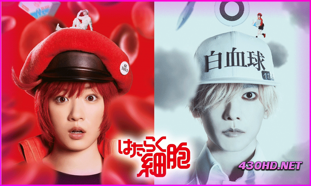 ดูหนัง Cells at Work :เซลล์ขยันพันธุ์เดือด